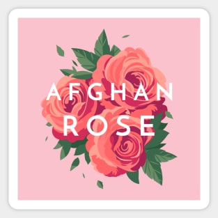 Afghan Rose Afghan Girl Sticker